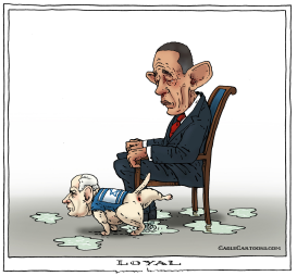 LOYAL by Joep Bertrams