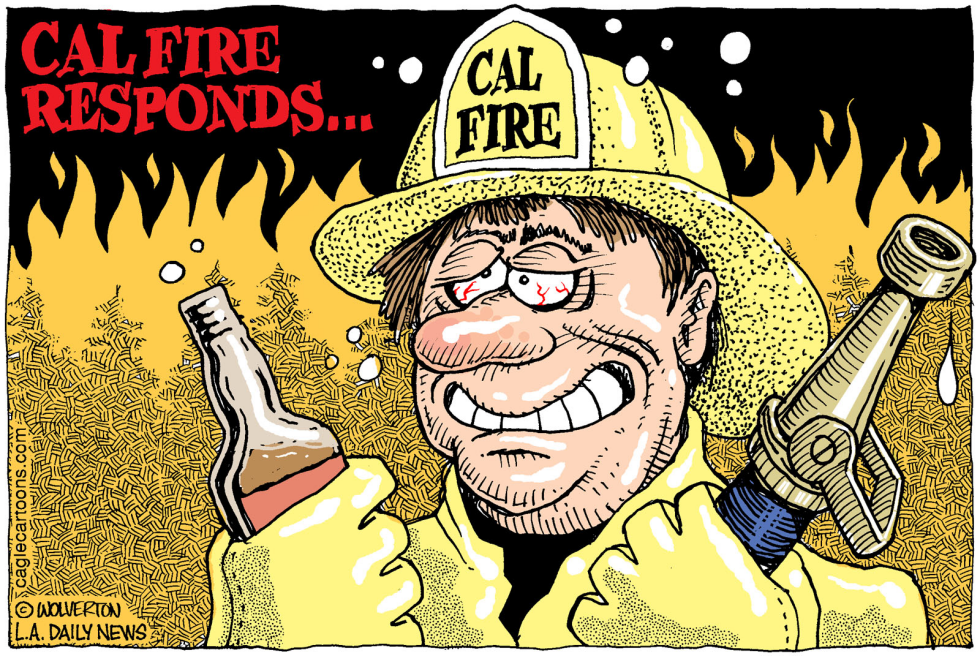  LOCAL-CA CAL FIRE RESPONDS by Wolverton