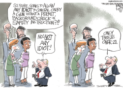 LOCAL GUN NONSENSE  by Pat Bagley