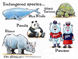 PAWSOX TEAM SOLD by Dave Granlund