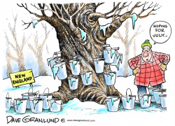 MAPLE SEASON SLOW START by Dave Granlund