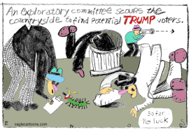 TRUMP COMMITTEE by Randall Enos