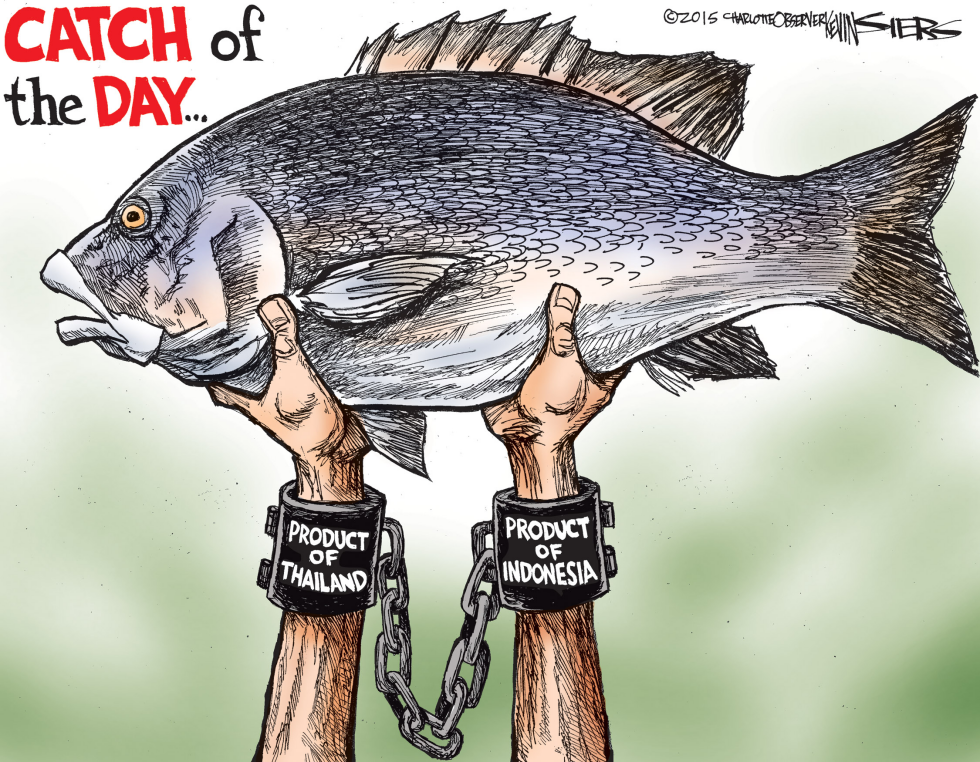  CATCH OF THE DAY by Kevin Siers