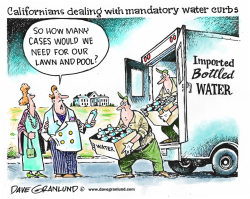 CALIFORNIA WATER CURBS by Dave Granlund