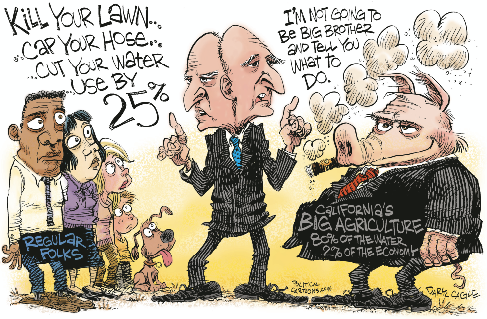  TWO FACED JERRY BROWN by Daryl Cagle