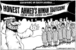 SAUDI SLAVERY by Wolverton