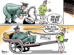 THAILAND'S NEW LAW by Paresh Nath