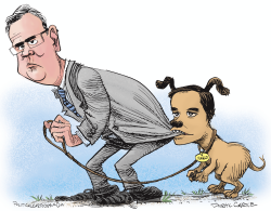 JEB BUSH AND MARCO RUBIO by Daryl Cagle