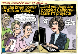 LOCAL-CA BOTCHED CALIFORNIA COMPUTER SYSTEMS by Wolverton