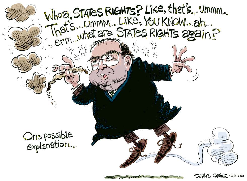  SUPREME COURT MARIJUANA  by Daryl Cagle