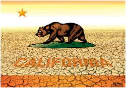 CALIFORNIA DROUGHT by RJ Matson