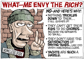 ENVYING THE RICH by Wolverton