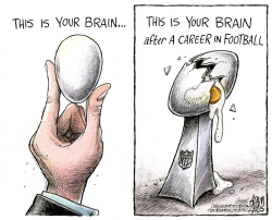 CAREER IN THE NFL by Adam Zyglis