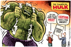 FANATICAL HULK by Rick McKee