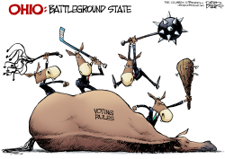 LOCAL OH - VOTING DEAD HORSE by Nate Beeler