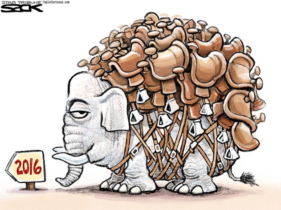  REPUBLICAN SADDLES by Steve Sack