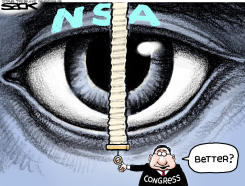 NSA LIMITS by Steve Sack