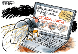 CICADA DATE by Jeff Koterba