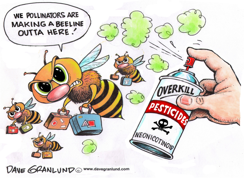  BEES AND PESTICIDES by Dave Granlund