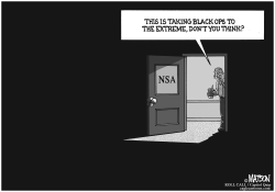 NSA OPERATES IN THE DARK by RJ Matson