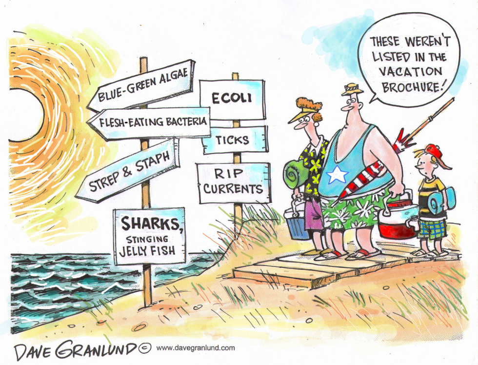  VACATION BEACHES by Dave Granlund