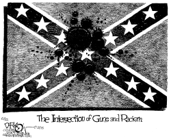 CONFEDERATE FLAG by John Darkow