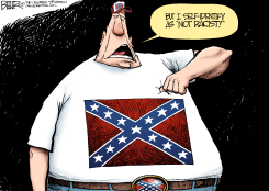 CONFEDERATE FLAG by Nate Beeler