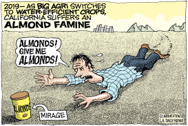 LOCAL-CA DROUGHT AND ALMONDS by Wolverton