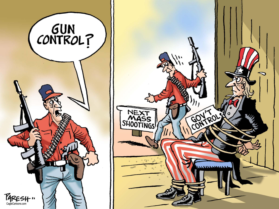  AMERICAN GUN CONTROL by Paresh Nath