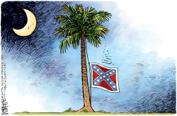 SC FLAG by Rick McKee