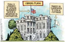 OBAMA FLAGS by Rick McKee