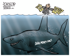 THE DARK MONEY SHARK by John Cole