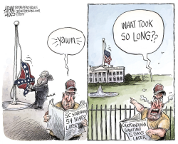 LOWERED FLAGS by Adam Zyglis