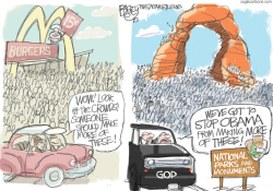 NATIONAL PARKS AND WRECKS by Pat Bagley