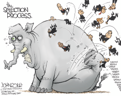 GOP SELECTION PROCESS by John Cole