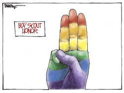 BSA NOT ANTI-GAY  by Bill Day