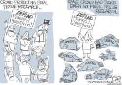 FETAL TISSUE by Pat Bagley