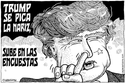 TRUMP SE PICA LA NARIZ by Wolverton