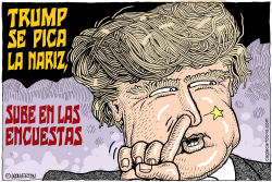 TRUMP SE PICA LA NARIZ  by Wolverton