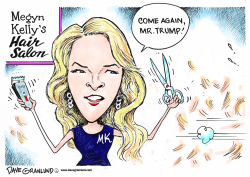 MEGYN KELLY AND TRUMP by Dave Granlund