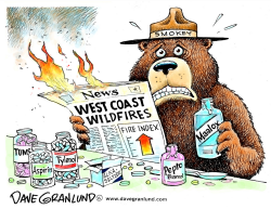 WEST COAST FIRES by Dave Granlund