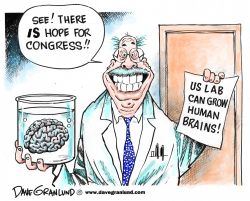 BRAINS GROWN IN LAB by Dave Granlund