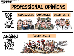 IRAN OPINIONS by Steve Sack