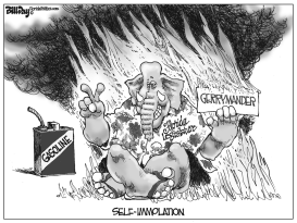 LOCAL FL IMMOLATION   by Bill Day