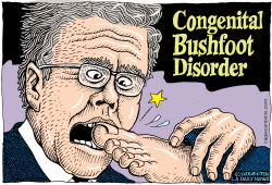 CONGENITAL BUSHFOOT DISORDER by Wolverton