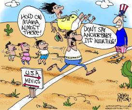 ANCHOR BABIES by Gary McCoy