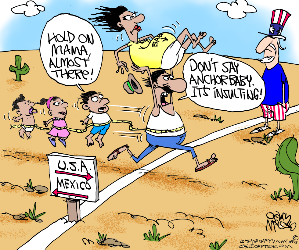  ANCHOR BABIES by Gary McCoy