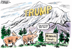 TRUMP MOUNTAIN by Jeff Koterba