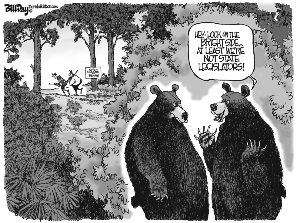  LOCAL FL  BEAR HUNTING   by Bill Day