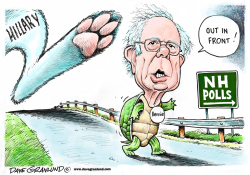 BERNIE AND NH POLLS by Dave Granlund